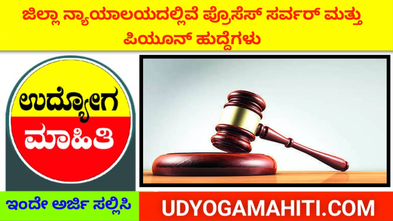 District Court Process Server & Peon Recruitment 2023